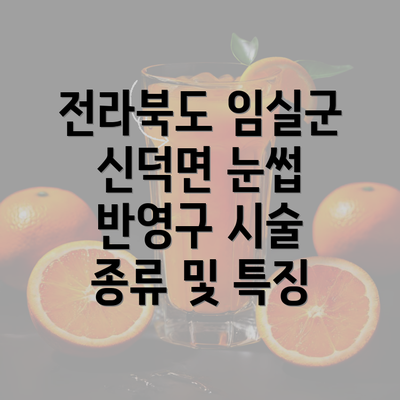 전라북도 임실군 신덕면 눈썹 반영구 시술 종류 및 특징