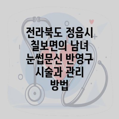 전라북도 정읍시 칠보면의 남녀 눈썹문신 반영구 시술과 관리 방법