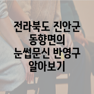 전라북도 진안군 동향면의 눈썹문신 반영구 알아보기