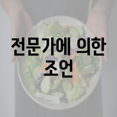 전문가에 의한 조언