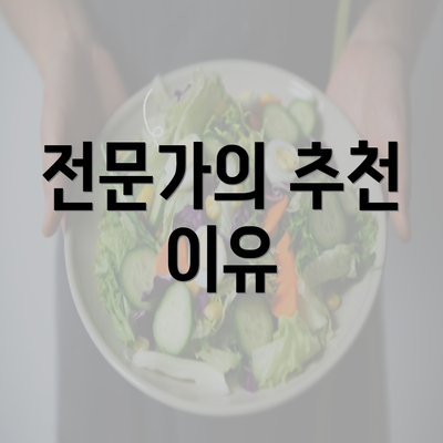 전문가의 추천 이유