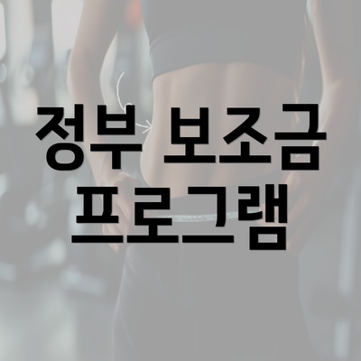 정부 보조금 프로그램