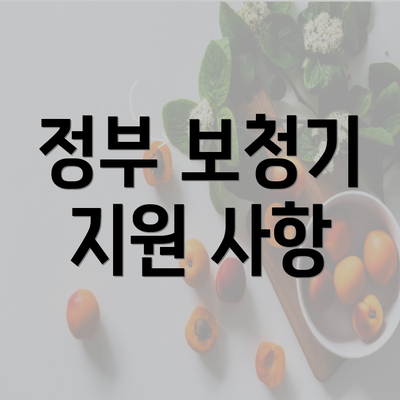 정부 보청기 지원 사항