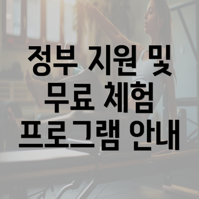 정부 지원 및 무료 체험 프로그램 안내