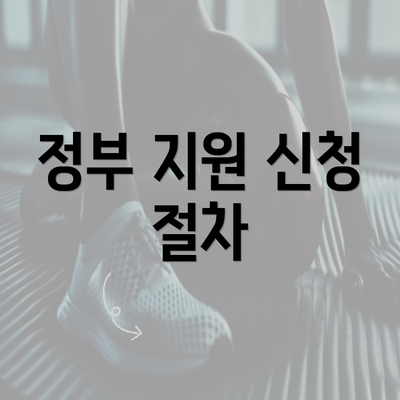 정부 지원 신청 절차