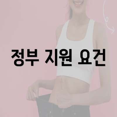 정부 지원 요건