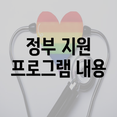 정부 지원 프로그램 내용