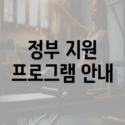 정부 지원 프로그램 안내