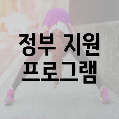 정부 지원 프로그램