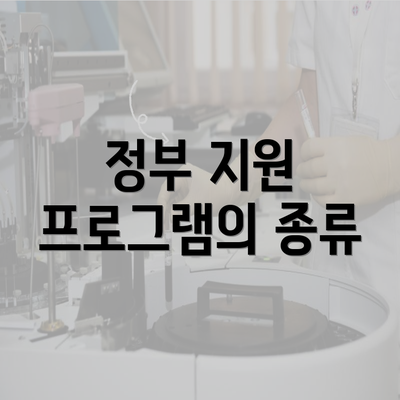 정부 지원 프로그램의 종류