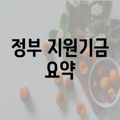 정부 지원기금 요약