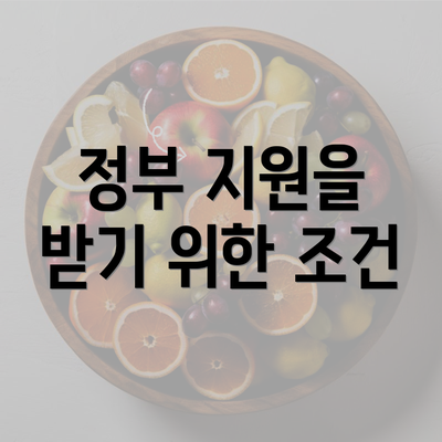 정부 지원을 받기 위한 조건