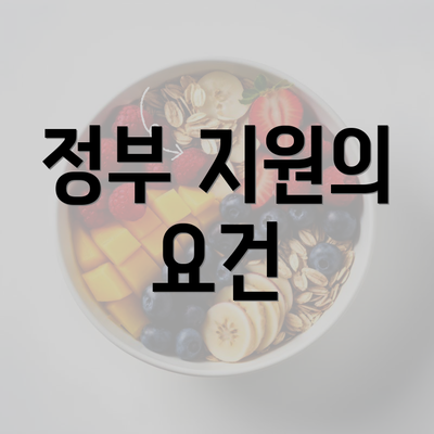 정부 지원의 요건