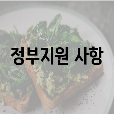 정부지원 사항