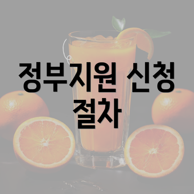 정부지원 신청 절차