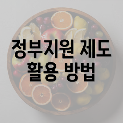 정부지원 제도 활용 방법