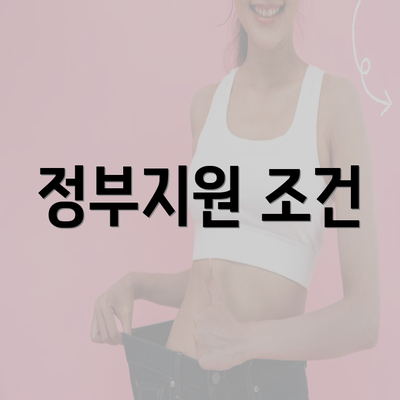 정부지원 조건