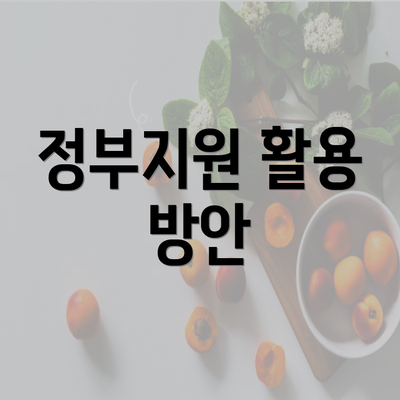 정부지원 활용 방안