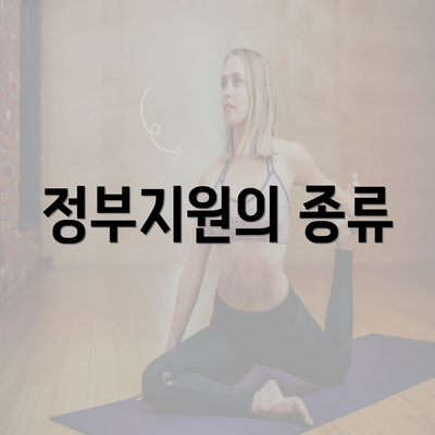 정부지원의 종류