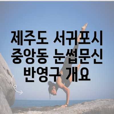 제주도 서귀포시 중앙동 눈썹문신 반영구 개요