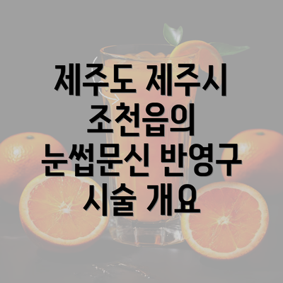 제주도 제주시 조천읍의 눈썹문신 반영구 시술 개요