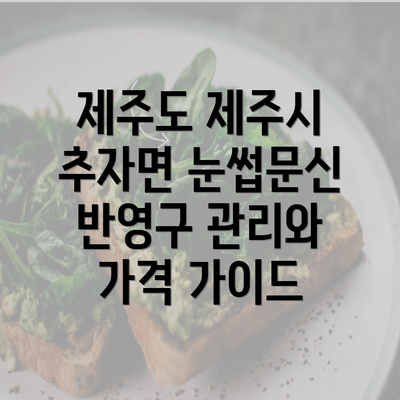 제주도 제주시 추자면 눈썹문신 반영구 관리와 가격 가이드