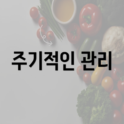 주기적인 관리