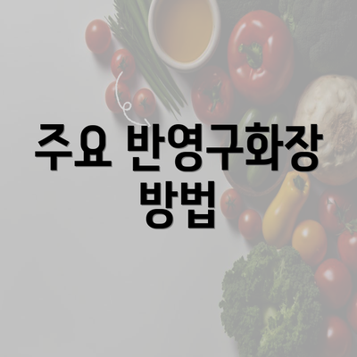 주요 반영구화장 방법