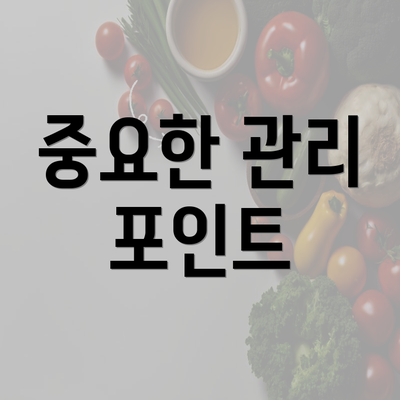 중요한 관리 포인트