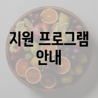 지원 프로그램 안내