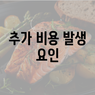 추가 비용 발생 요인