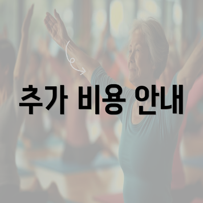 추가 비용 안내