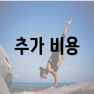 추가 비용