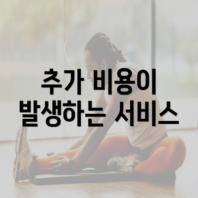 추가 비용이 발생하는 서비스