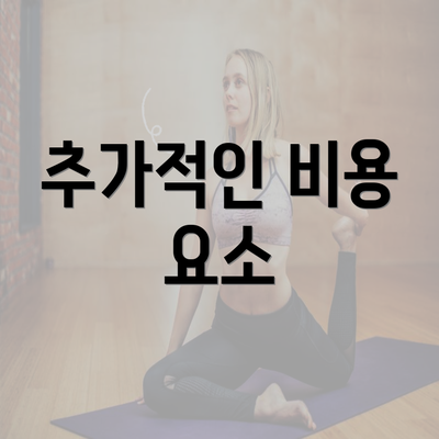 추가적인 비용 요소