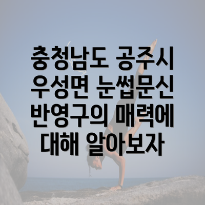 충청남도 공주시 우성면 눈썹문신 반영구의 매력에 대해 알아보자