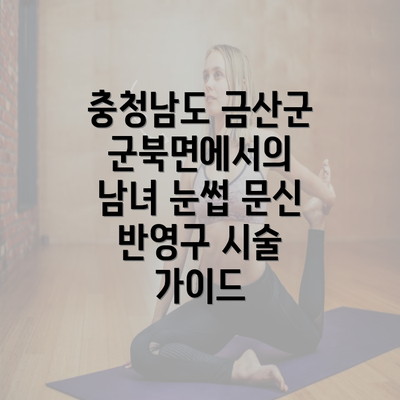 충청남도 금산군 군북면에서의 남녀 눈썹 문신 반영구 시술 가이드