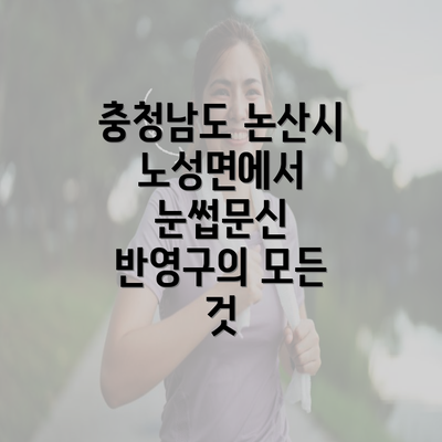 충청남도 논산시 노성면에서 눈썹문신 반영구의 모든 것