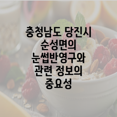 충청남도 당진시 순성면의 눈썹반영구와 관련 정보의 중요성