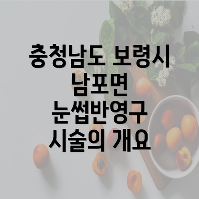 충청남도 보령시 남포면 눈썹반영구 시술의 개요