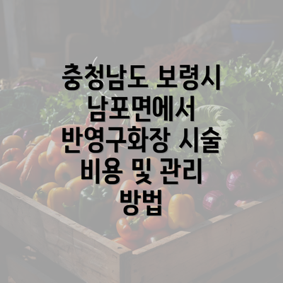 충청남도 보령시 남포면에서 반영구화장 시술 비용 및 관리 방법