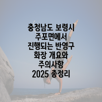 충청남도 보령시 주포면에서 진행되는 반영구 화장 개요와 주의사항 2025 총정리