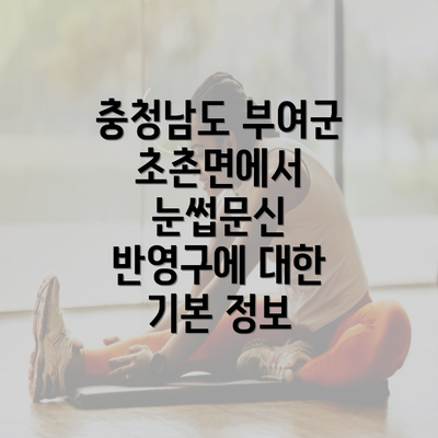 충청남도 부여군 초촌면에서 눈썹문신 반영구에 대한 기본 정보