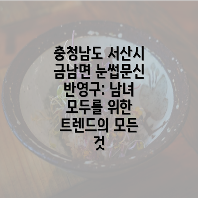 충청남도 서산시 금남면 눈썹문신 반영구: 남녀 모두를 위한 트렌드의 모든 것