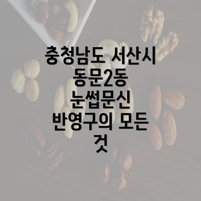 충청남도 서산시 동문2동 눈썹문신 반영구의 모든 것