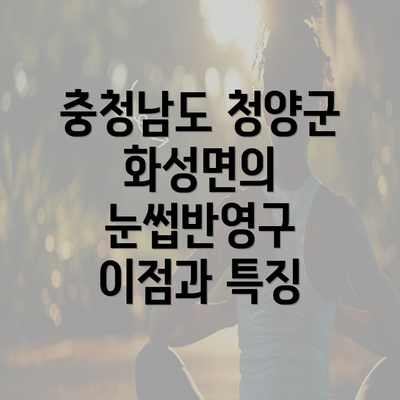 충청남도 청양군 화성면의 눈썹반영구 이점과 특징