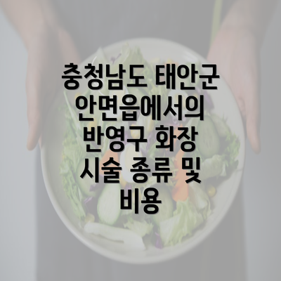 충청남도 태안군 안면읍에서의 반영구 화장 시술 종류 및 비용