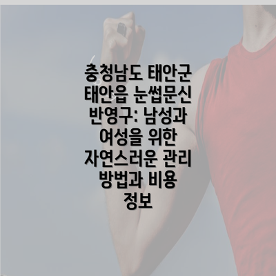 충청남도 태안군 태안읍 눈썹문신 반영구: 남성과 여성을 위한 자연스러운 관리 방법과 비용 정보