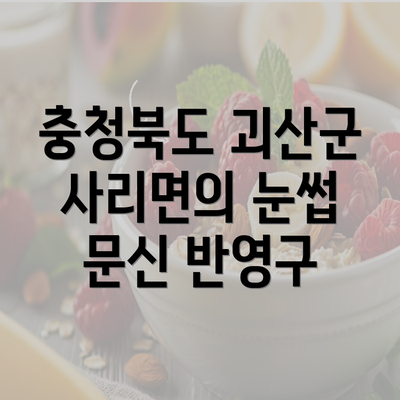 충청북도 괴산군 사리면의 눈썹 문신 반영구