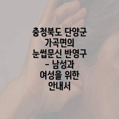 충청북도 단양군 가곡면의 눈썹문신 반영구 - 남성과 여성을 위한 안내서